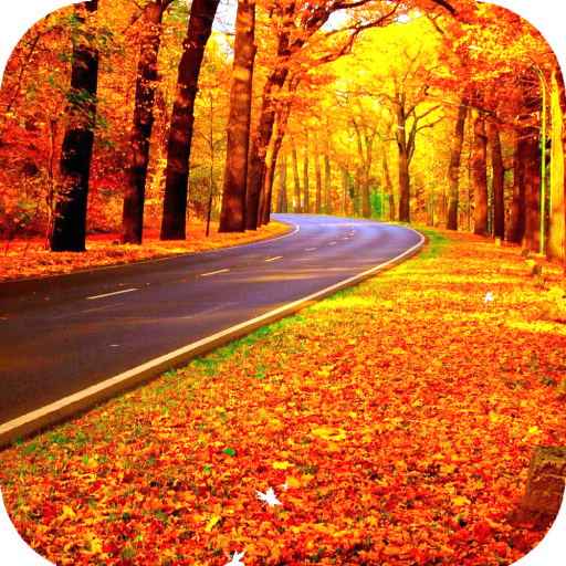 Fall Wallpaper HD icon