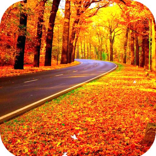 Fall Wallpaper HD 1.12