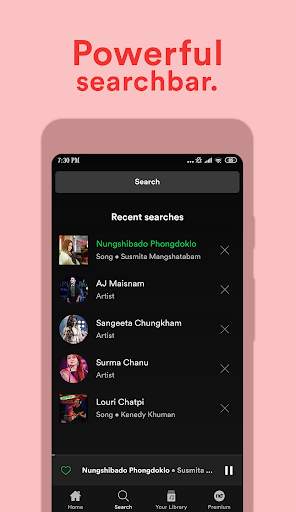 NePlay Music - Stream North-East India Songs Free screenshot 7