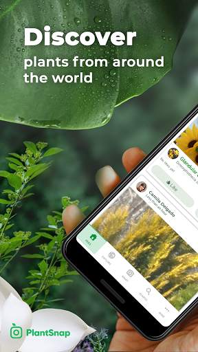 PlantSnap Pro - Identify Plants, Flowers & Trees screenshot 1