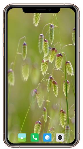 HD Grass Wallpaper screenshot 9