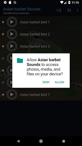 Asian barbet bird Sounds ~ Sboard.pro screenshot 2