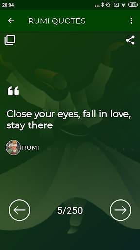 Rumi Quotes Offline screenshot 4