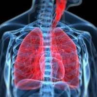 Respiratory System on 9Apps