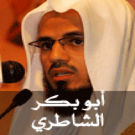 Holy Quran - Al Shatri screenshot 1