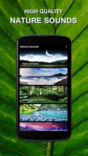 Nature Sounds for Sleep screenshot 3