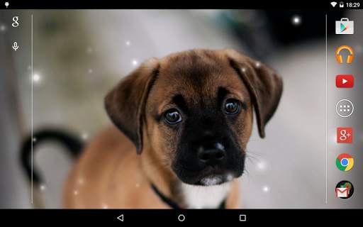 Puppies Live Wallpaper screenshot 11