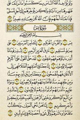 Quran Kareem screenshot 4