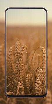 Nature Wallpaper | beautiful wallpapers screenshot 7