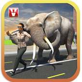 Elephant Racing Simulator 2016 logo
