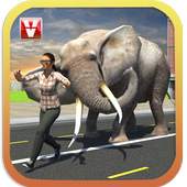 Elephant Racing Simulator 2016 1.0