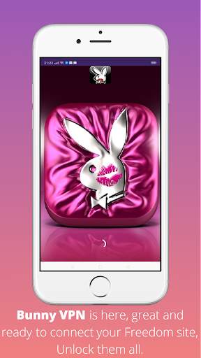 Bunny VPN Unblock your site screenshot 5