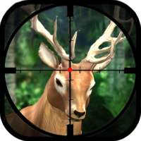 Moose Hunting 2016