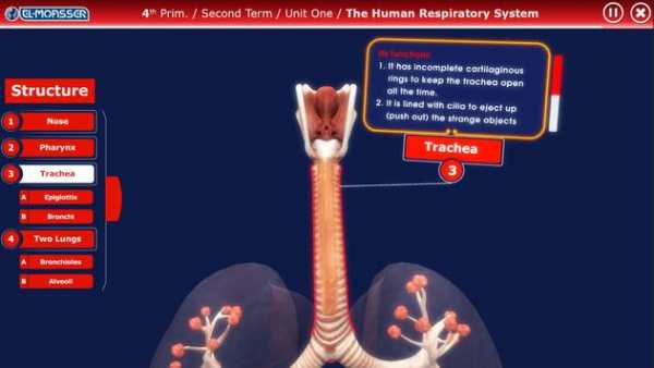 El-Moasser Respiratory System 3D screenshot 4