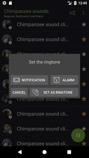 Appp.io - Chimpanzee sounds screenshot 4