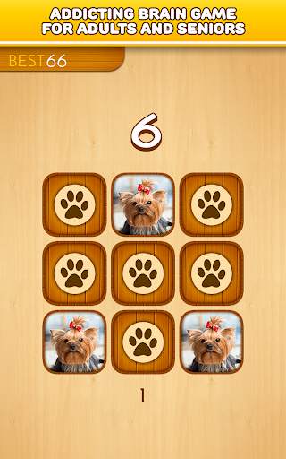 Brain games - Dogs - Memory training *Gold edition screenshot 11
