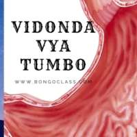 Vidonda vya Tumbo na matibabu icon