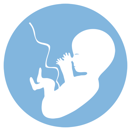 Ecobaby Mobile icon