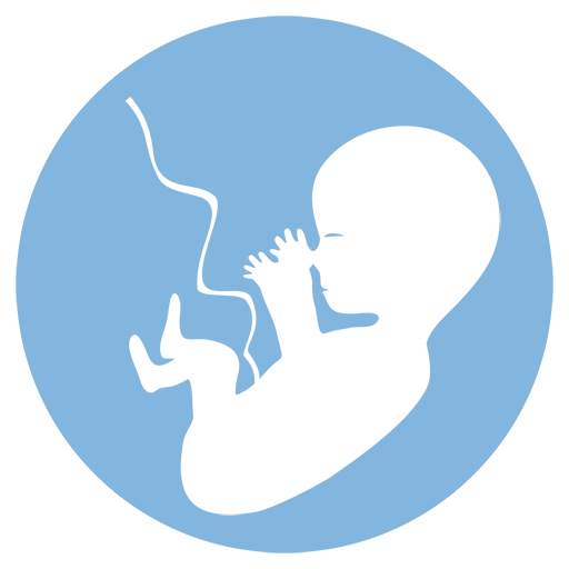 Ecobaby Mobile 1.0.4