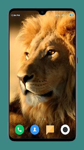 Wild Animal Wallpaper 4K 3 تصوير الشاشة