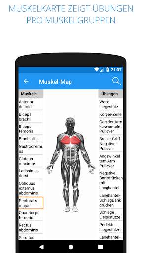 mein Training - Sport Fitness &  Muskelaufbau screenshot 2