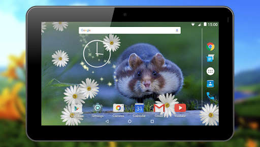 Hamster Live Wallpapers screenshot 9