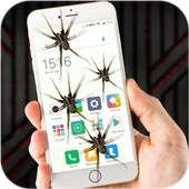 Spider on Screen Funny Joke 1.0