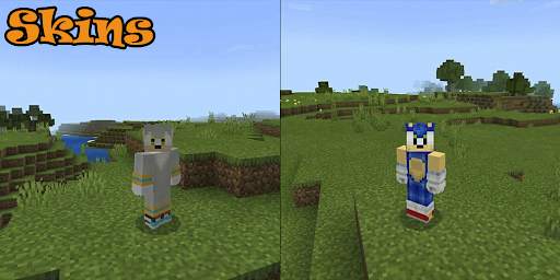 Skins Sonic for Minecraft PE screenshot 1