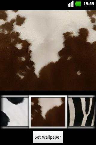 Animalier GO EX Theme screenshot 7