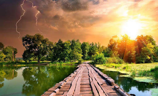 Spring Wallpapers HD screenshot 9