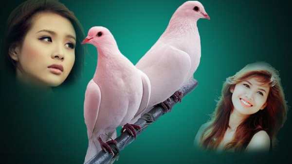 Birds Photo Frames स्क्रीनशॉट 1