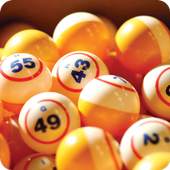Bingo Bash Casino 1.0