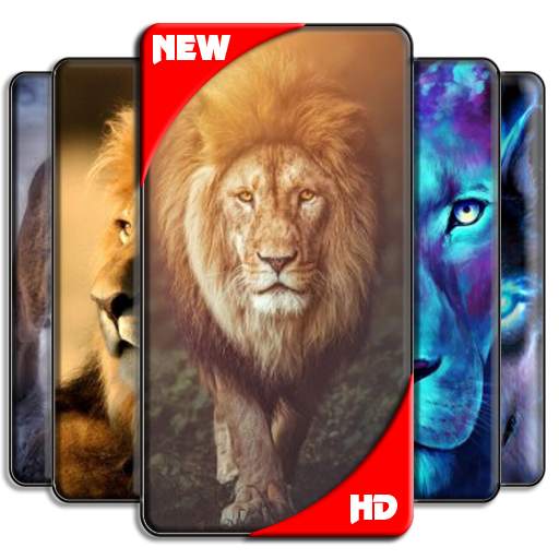Lion Wallpaper 6.0