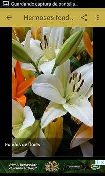 Fondos de flores screenshot 5