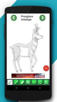 Free Drawing Tutorials - Animals (1st Edition) screenshot 3