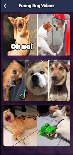 Funny Video Clips screenshot 9