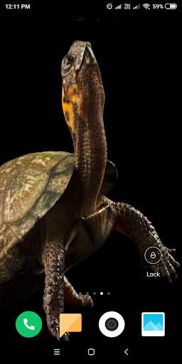 Turtle HD Wallpaper screenshot 12