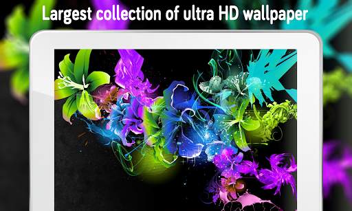 Flower Wallpaper (4k) screenshot 9