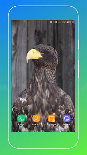 HD Eagle Wallpaper screenshot 11