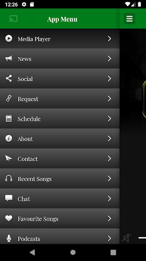 Flava FM screenshot 3