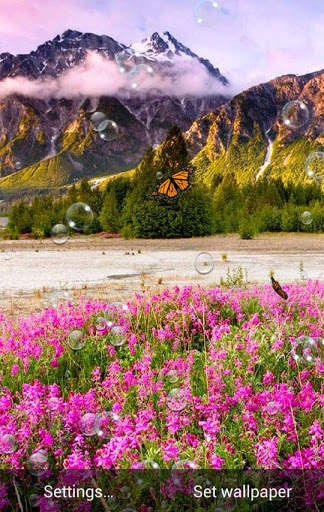 Spring Flower Live Wallpaper screenshot 2