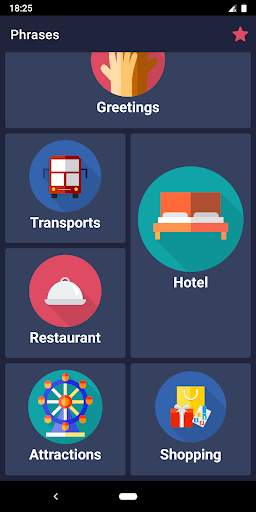 Travel Phrases screenshot 5