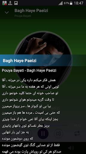Pouya Bayati - songs offline screenshot 3