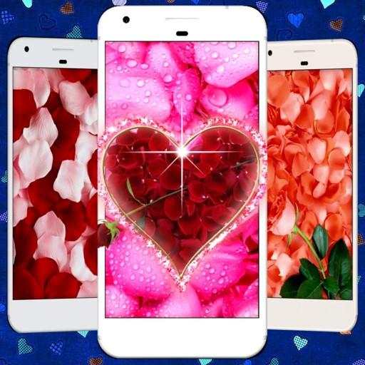 Rose petals Live Wallpaper 1.0