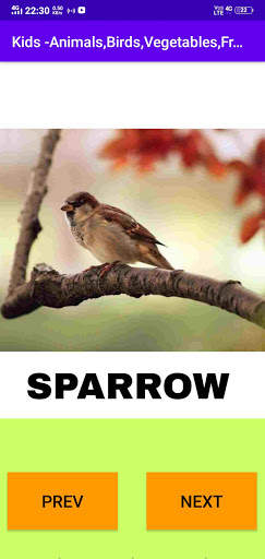 Kids - Animal,Birds,Fruits,Vegetables Names screenshot 3