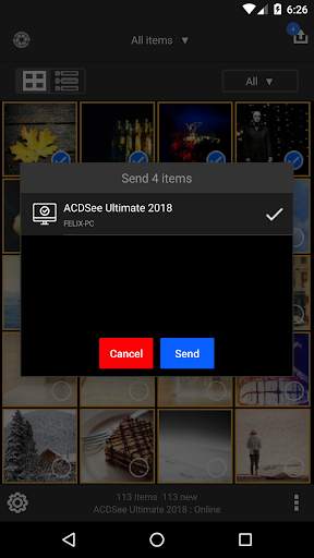 ACDSee Mobile Sync screenshot 4