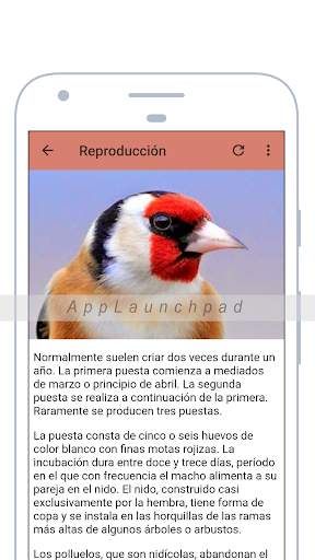 Goldfinch free screenshot 4