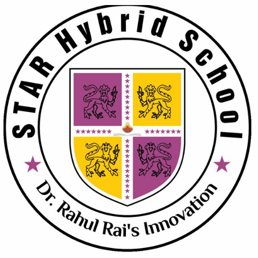 Star Hybrid icon