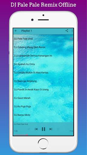 DJ Pale Pale Viral Tiktok Terbaru Offline screenshot 5