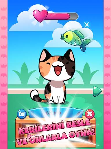 Kedi Oyunu - Cats Collector screenshot 7